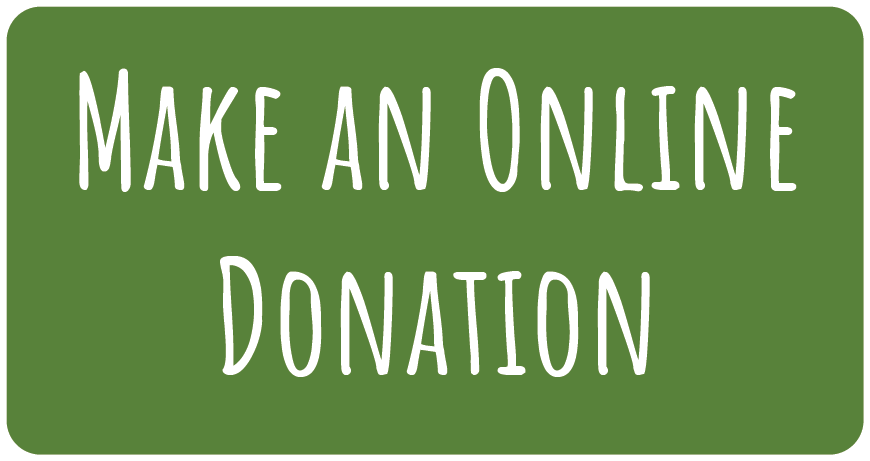 Make an Online Donation